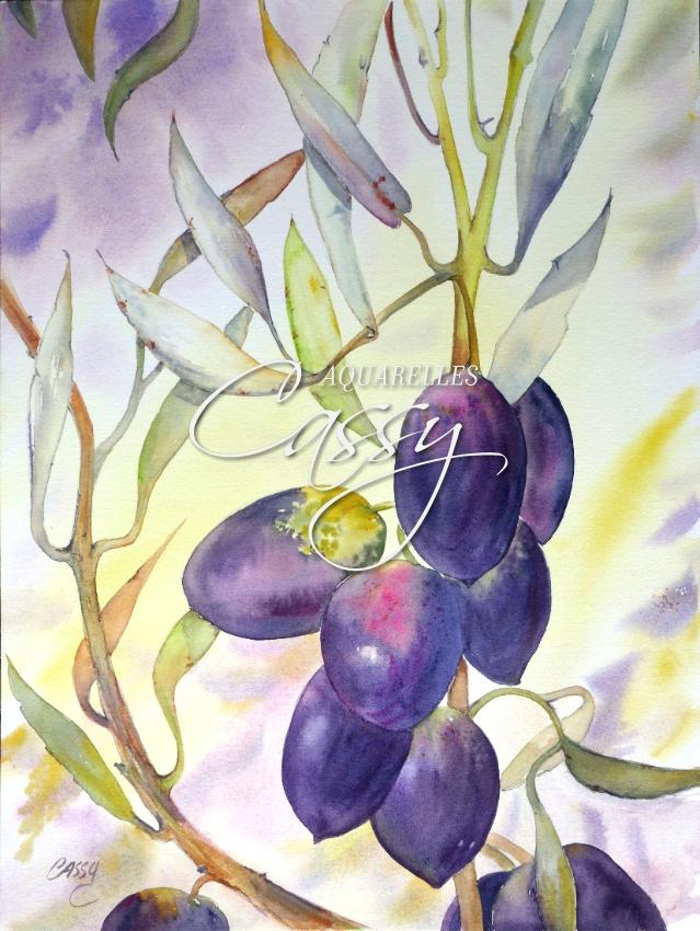 Branche d Olives - 41 cm X 31 cm